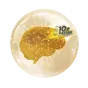 加速高效率腦部連結所需的營養及髓鞘化需求 加速高效率腦部連結所需的營養及髓鞘化需求